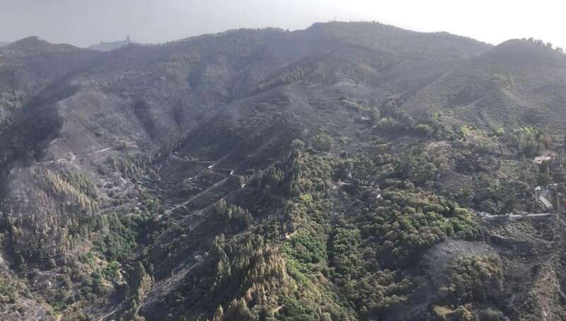 Superficie afectada por el incendio de Gran Canaria (Foto TA)